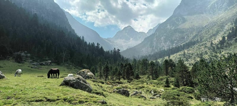Le long du Gave du Lutour - Cauterets