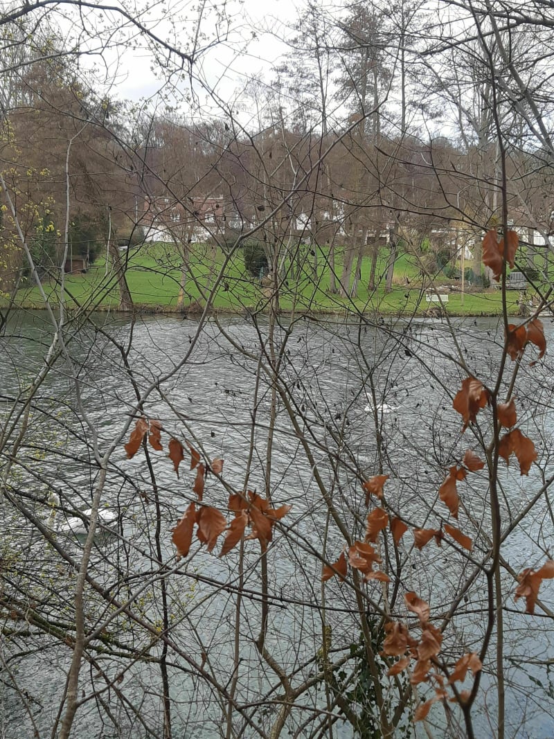 Les bords de l'Aisne en passant par la chapelle des 3 chênes - Choisy-au-Bac