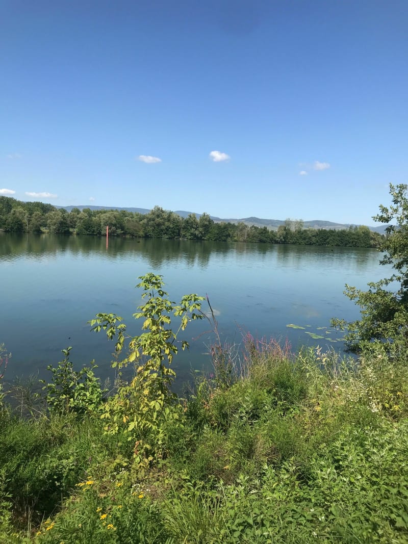 Balade en bord de Saône, de Thoissey à Macon - Thoissey