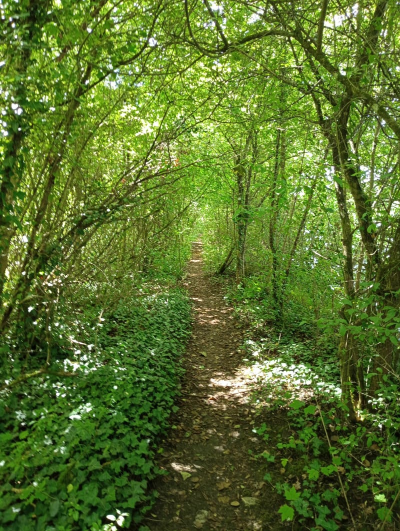 Balade à Bois-le-Roi - Bois-le-Roi
