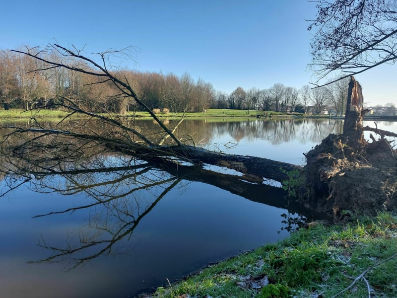 Le grand tour de Mouilleron par les Etangs - Mouilleron-le-Captif