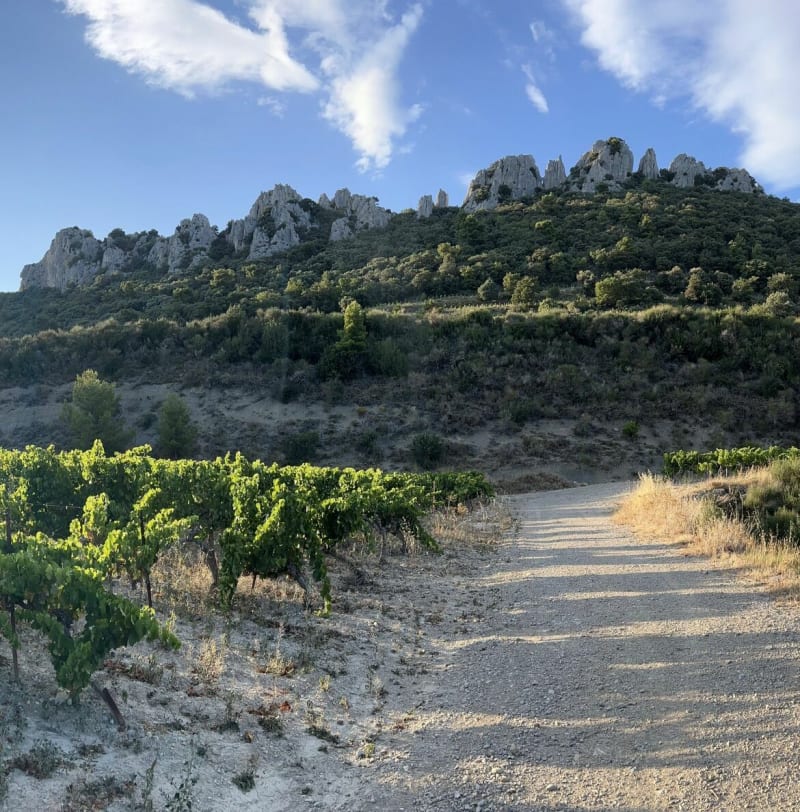 Petit Trail Dentelles de Montmirail️ par Lafare - Lafare