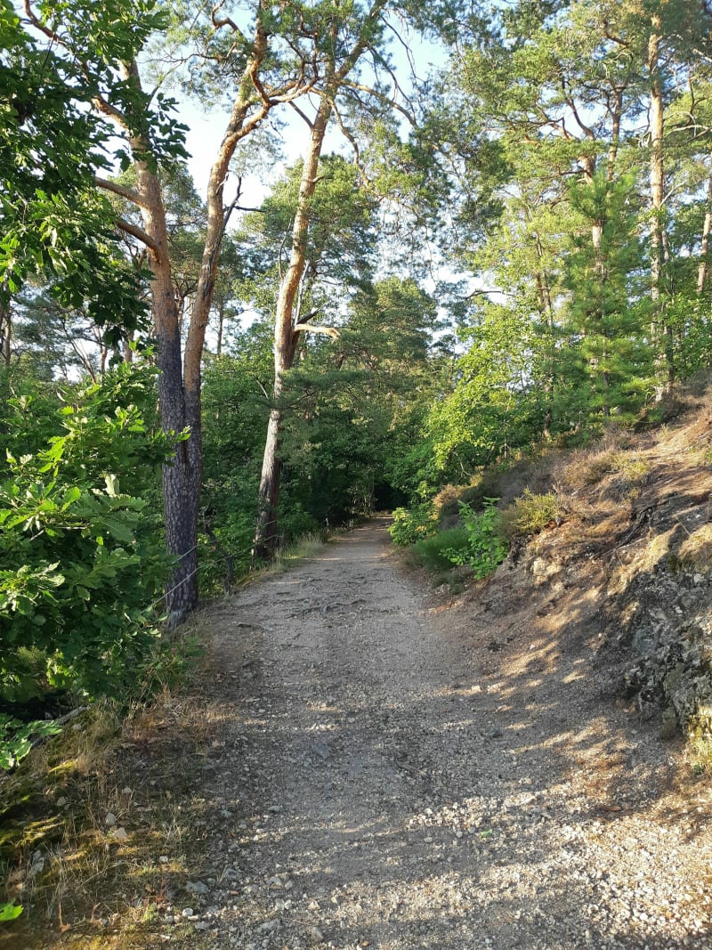 Parcours en forêt autour de Châtel-Guyon - Châtel-Guyon