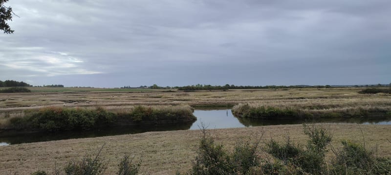 Bourgenay, port, plage du Veillon, marais - Talmont-Saint-Hilaire
