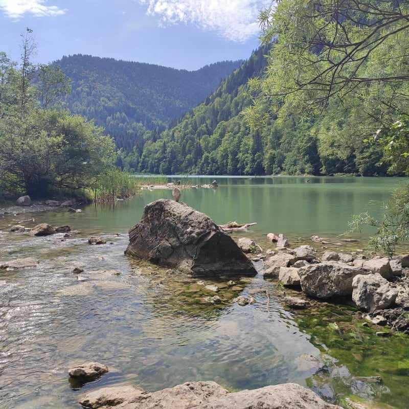 Rondom het meer van Vallon en meer - Bellevaux
