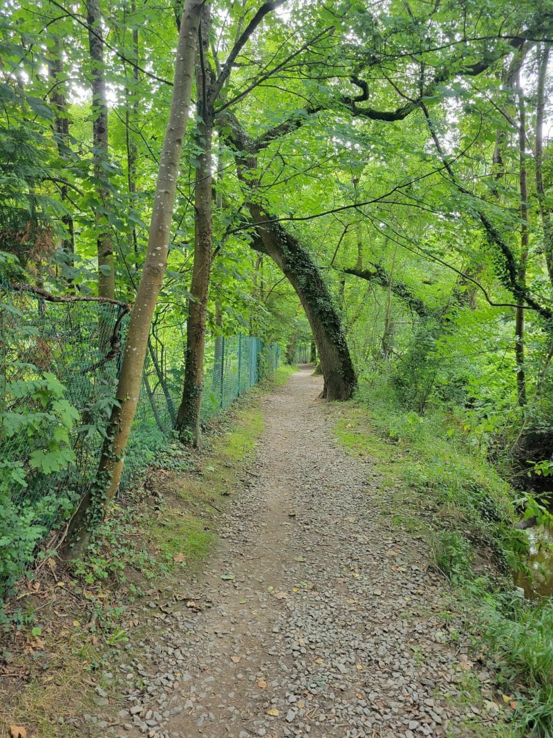 Le long de la Chézine - Saint-Herblain