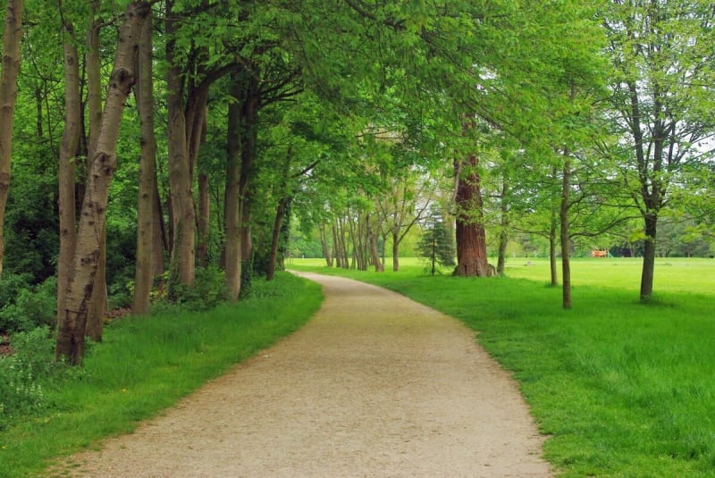 Grand tour du Parc de Noisiel par Montapeine - Champs-sur-Marne
