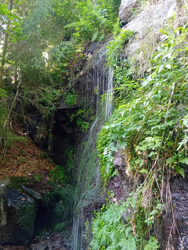 Les cascades du ruisseau de Livernade - Brezons