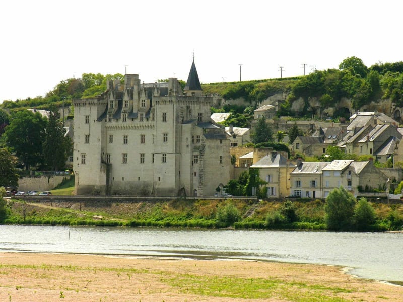 Balade des Clématites par la Loire - Chouzé-sur-Loire