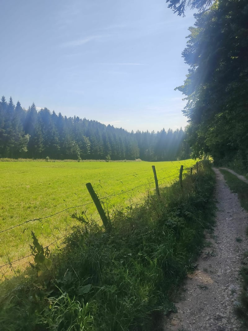 Au Creux de Vennes et Côte Froid Mont - Vennes