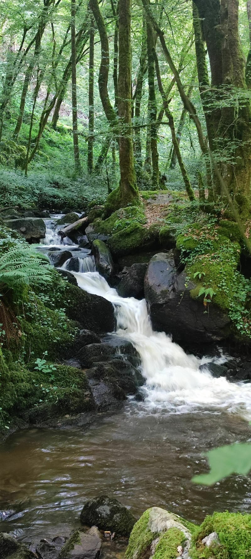 Balade à la découverte des cascades du Combejean depuis Moulin Vaurette - Monceaux-sur-Dordogne