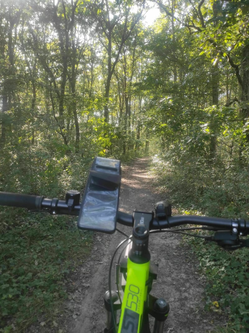 Sortie familiale en forêt de Moulière - Liniers