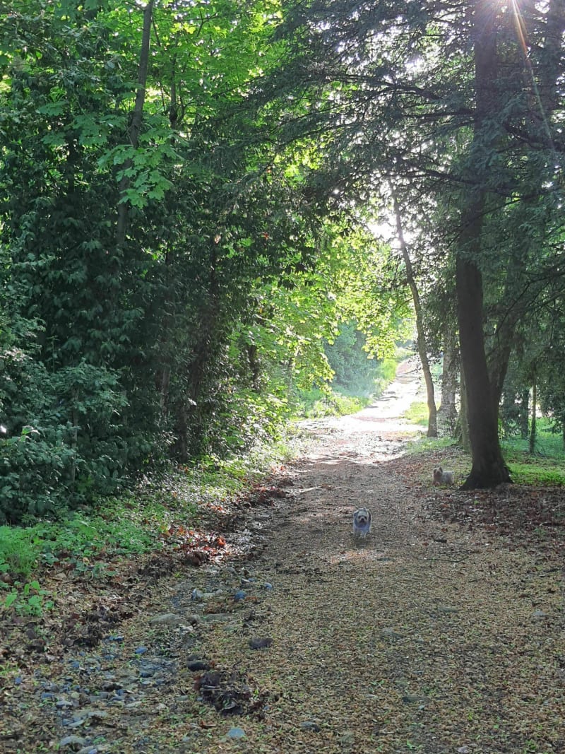 Balade entre champs et fermes à Lamure - Larajasse