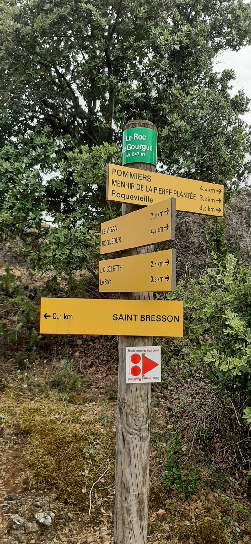 Balade bucolique autour de Saint-Bresson par Col des Aires - Saint-Bresson