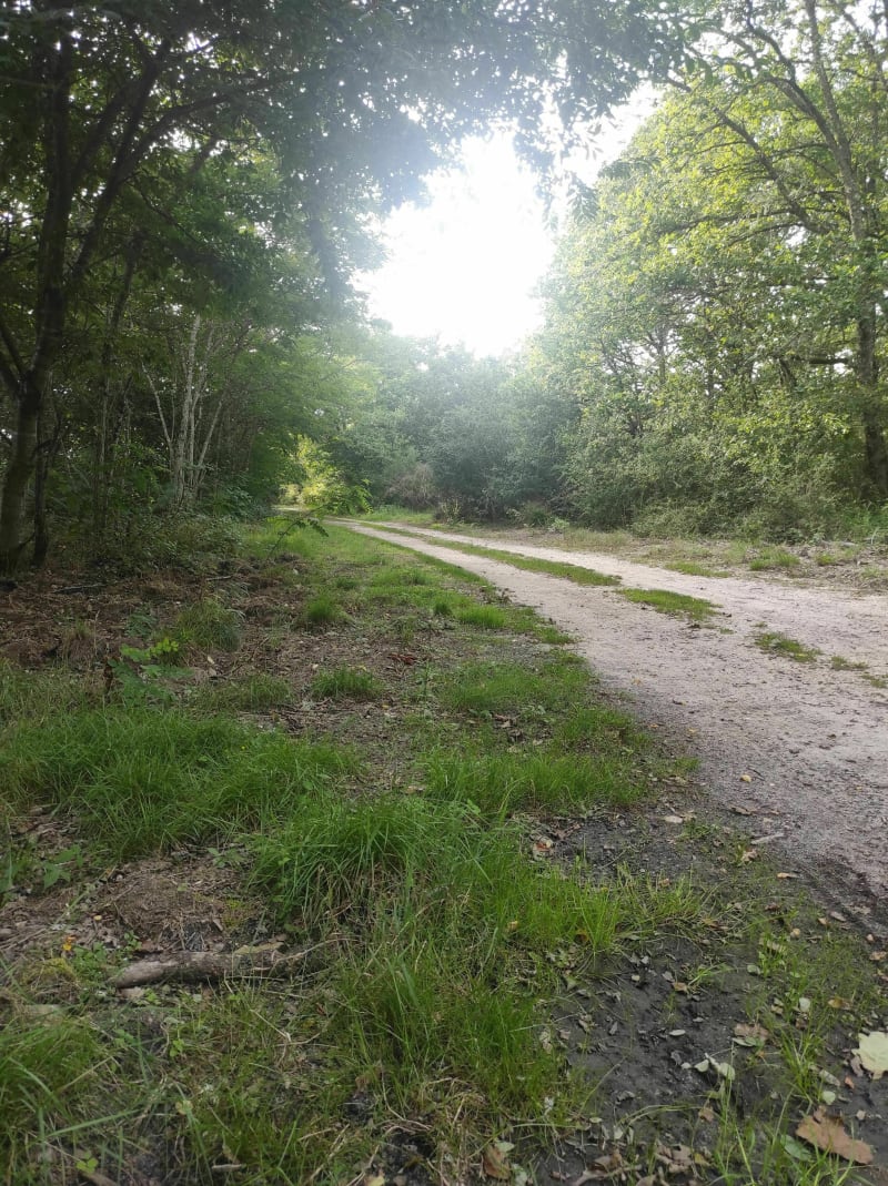 15 km à Pierrefitte-sur-Sauldre - Pierrefitte-sur-Sauldre