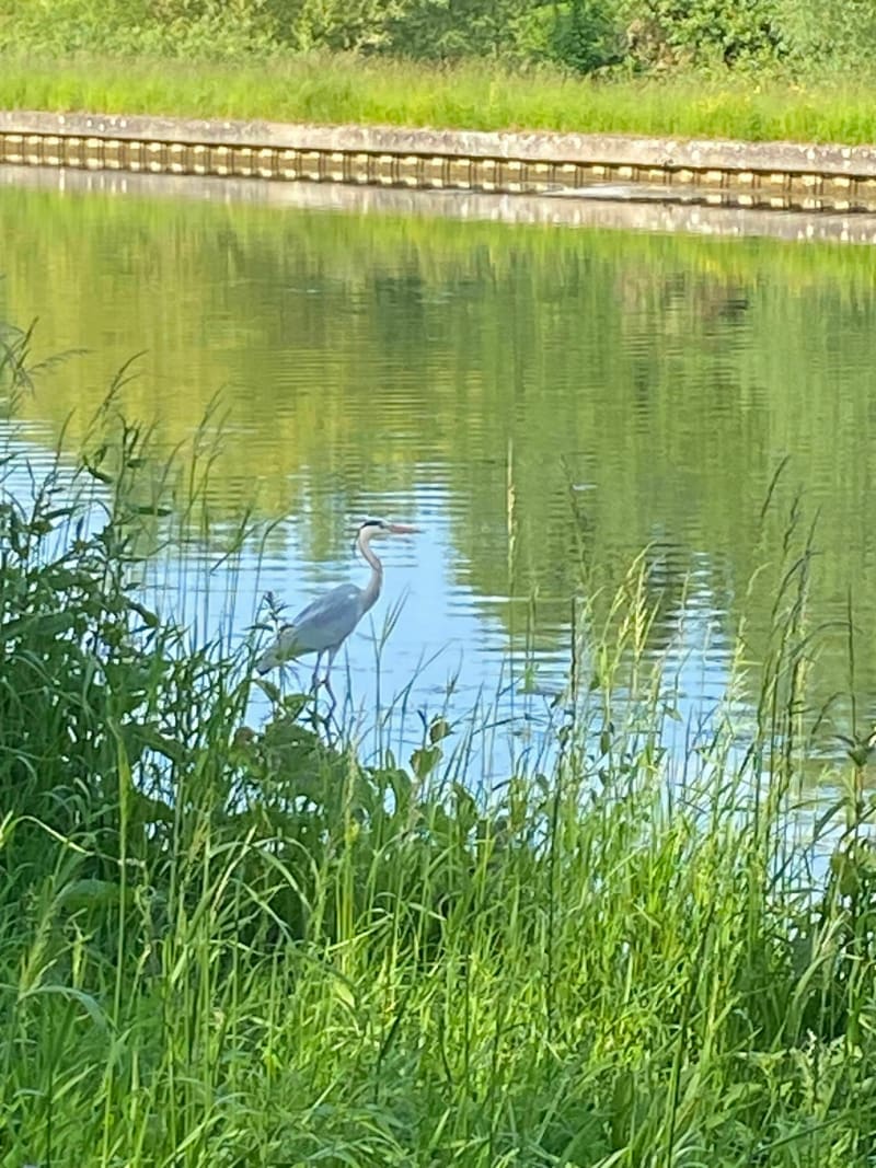 Bois de Lesdins - Saint-Quentin