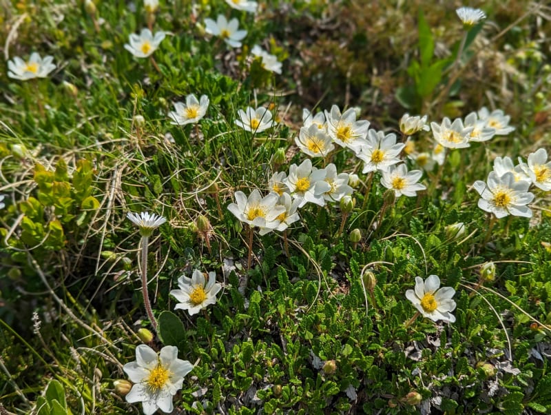 Vallée de la Bruche - Scharrachbergheim-Irmstett