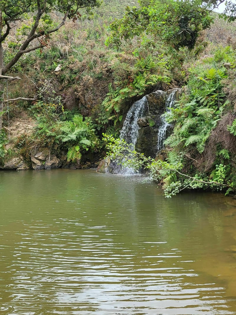 La cascade d'Uzkaingo Erreka depuis Ascain - Ascain
