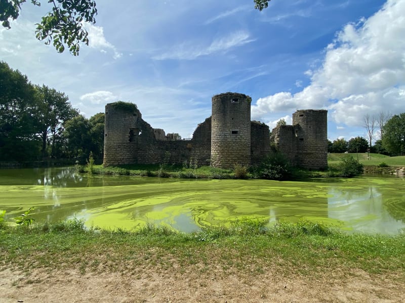Autour du château de Commequiers - Commequiers