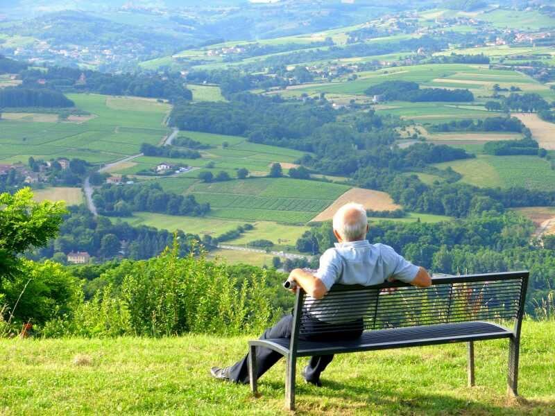 Entre terre et vignes à L'Arbresle - L'Arbresle