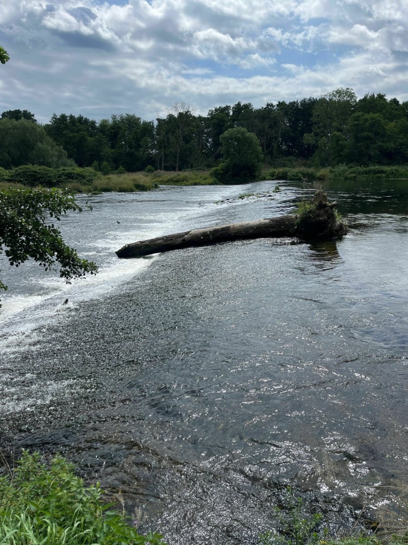 Balade le long de la Moselle - Gripport