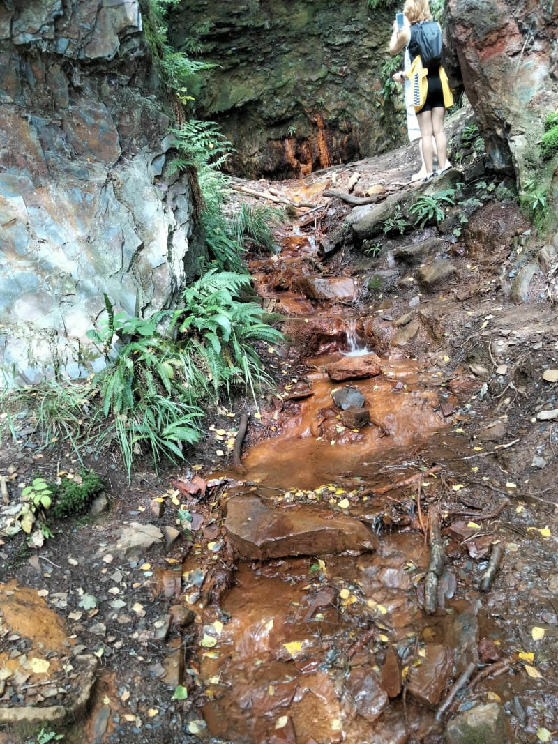 Source ferrugineuse de Laifour - Laifour