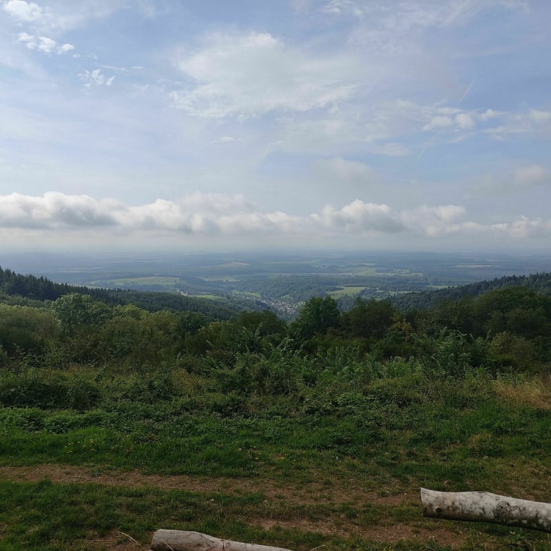VTTAE autour de Michelbach - Masevaux-Niederbruck