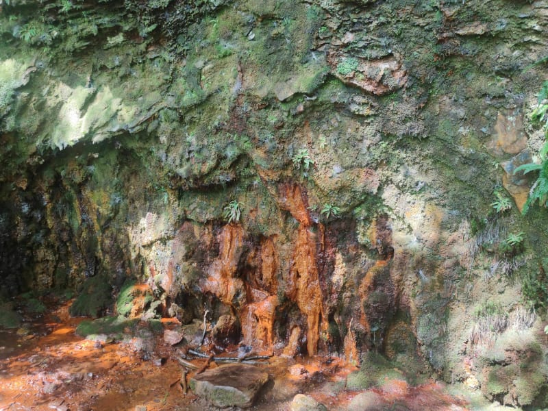 Balade vers la source ferrugineuse - Revin