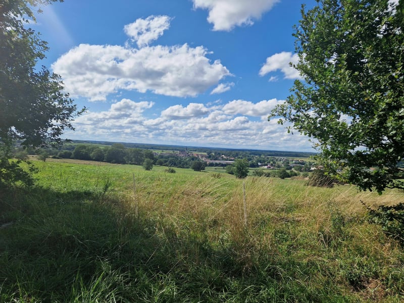 Circuit de la Dame de Piparon dans le Bois de Chanénot - Fretigney-et-Velloreille