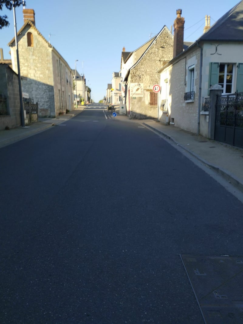 Balade champêtre à travers les pâturages Brenous - Martizay