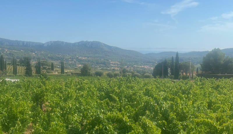 Les 4 Castellet : Circuit, Camp, Village et Plan - Ollioules
