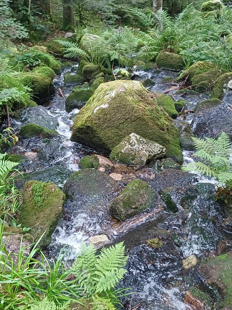 Balade à la tour et la cascade de Mérelle - Gérardmer