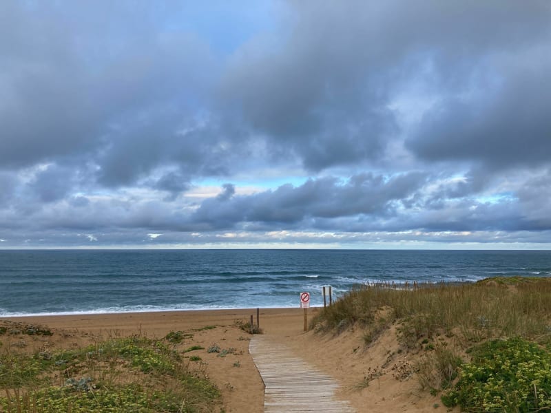 Vue sur l'océan: 2 fois le long de la forêt d'Olonne - Les Sables-d'Olonne