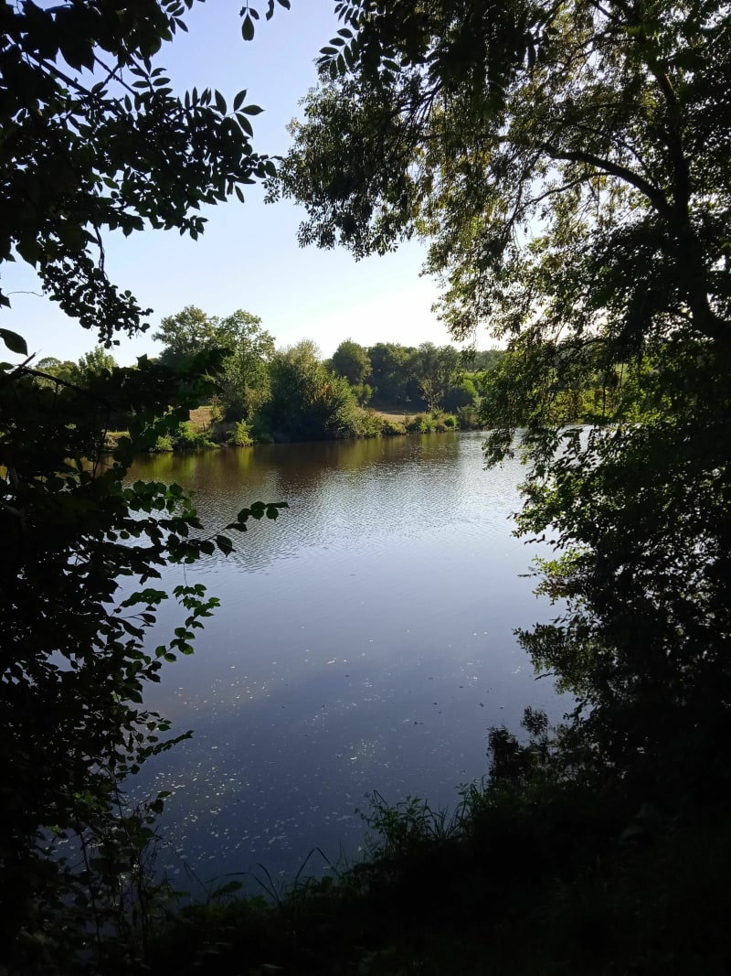 Balade le long de la Mayenne en passant par Château Gontier - La Roche-Neuville