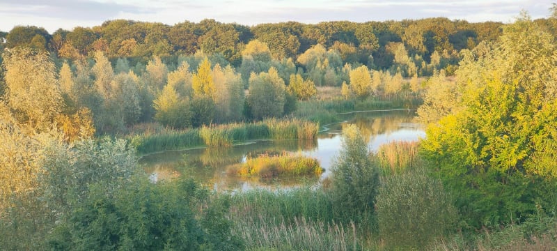 Boucle entre Lieusaint et Moissy-Cramayel - Lieusaint