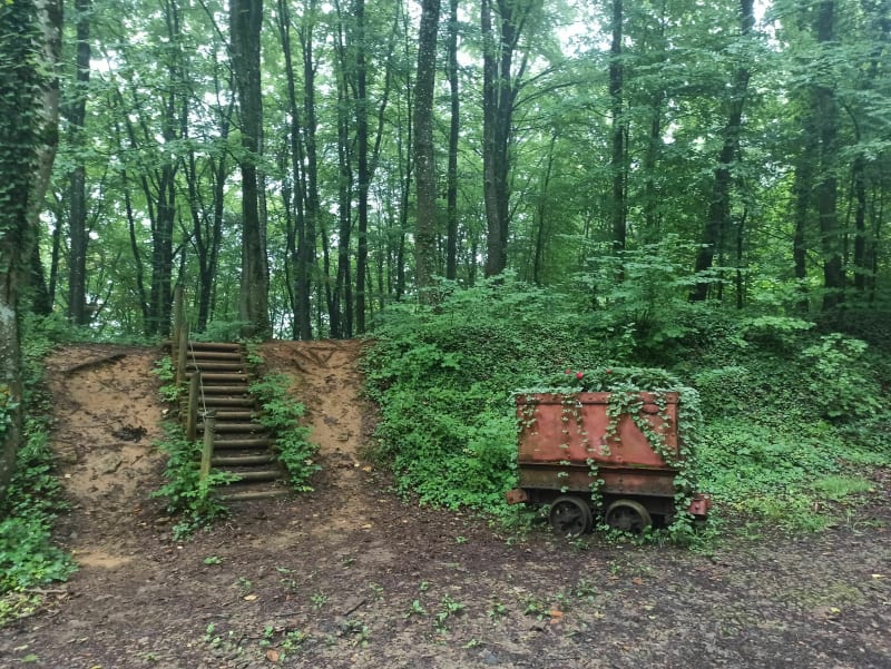 Balade/Trail dans le Bois d'Halanzy et le Coul - Mont-Saint-Martin