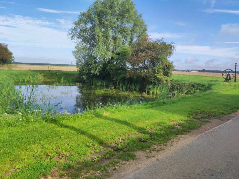 Balade en forêt de Châteauneuf et hameaux du Thymerais - Thimert-Gâtelles