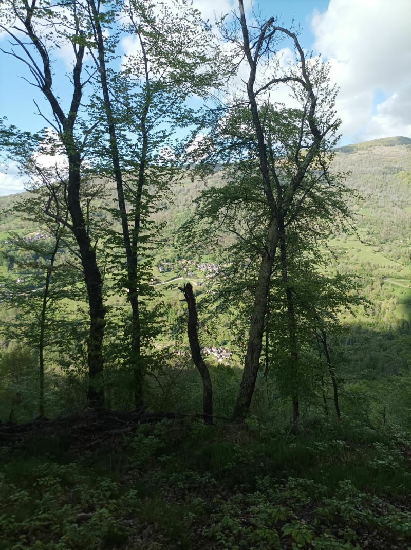 Balade au-dessus de Bordes-sur-Lez de Pujaout - La Serre - Arrien-en-Bethmale