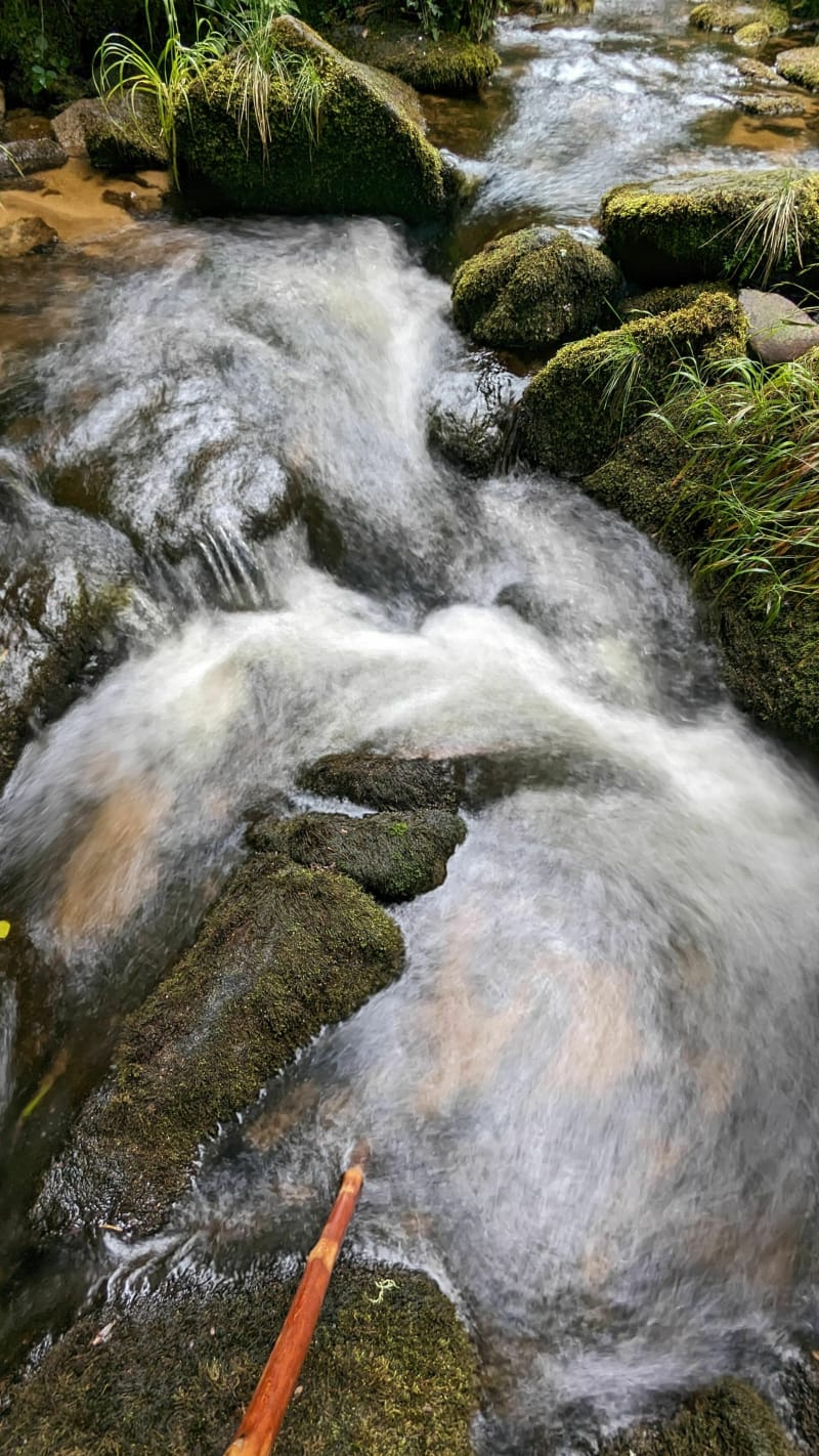 Les cascades d'Augerolles et Puy la Chaise - Saint-Pardoux-Morterolles