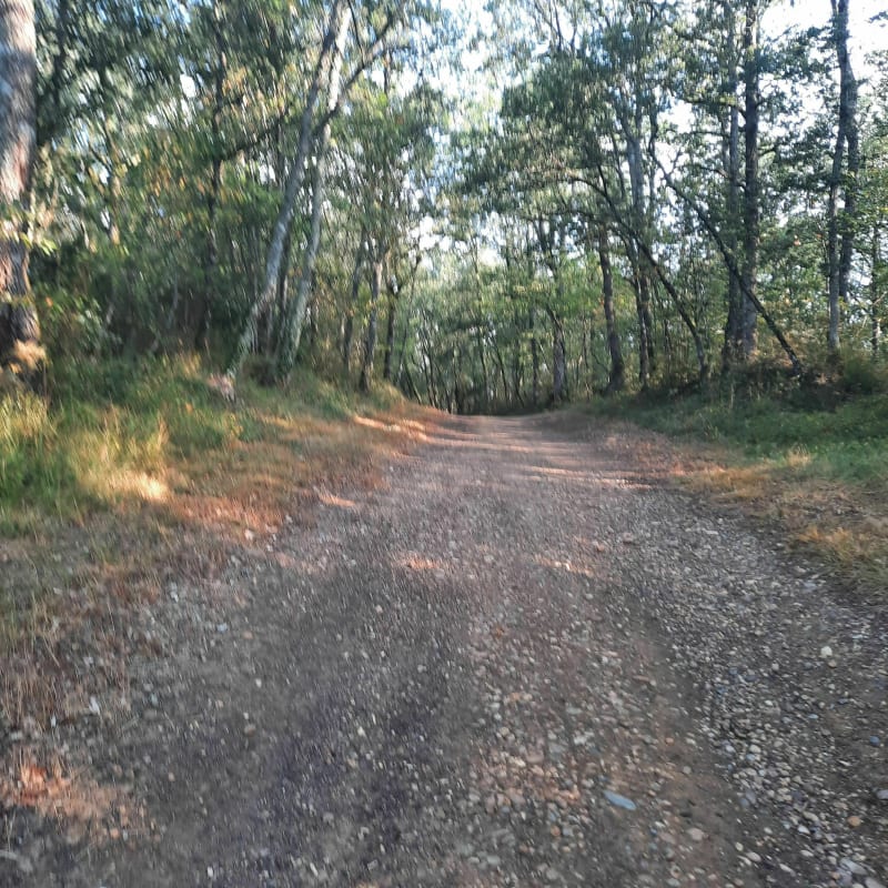 Coteaux de Goudourvielle - Lias