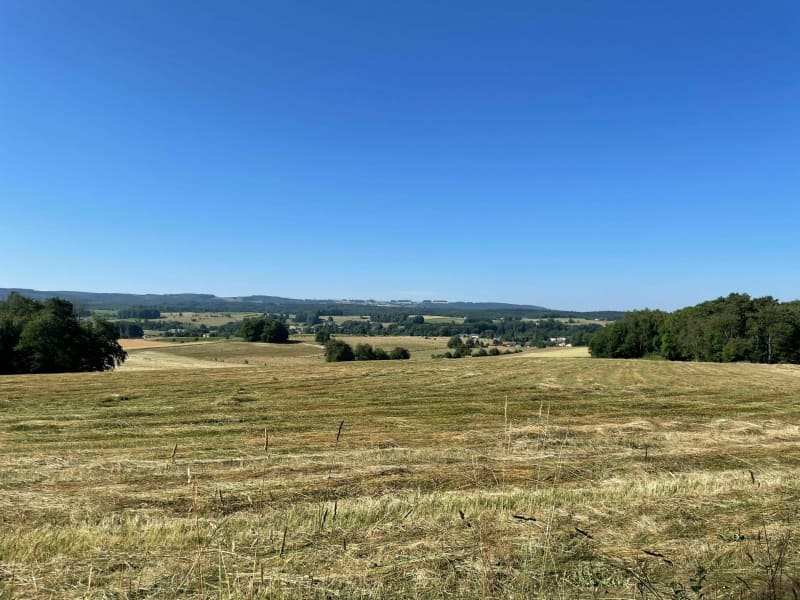 Uriménil à l'Etang de Bult et par les Friches - Uriménil