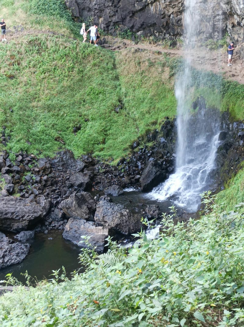 Balade découverte de la cascade des Salins - Salins