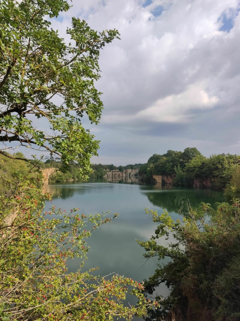 Le demi grand bleu - Saint-Ouen-de-Mimbré