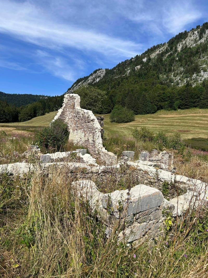Plaine d’Herbouilly, sa source et son histoire depuis Château Julien - Villard-de-Lans