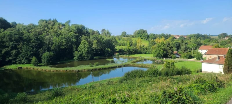 Randonnée à Fayl-Billot et Planche des Fourches - Fayl-Billot