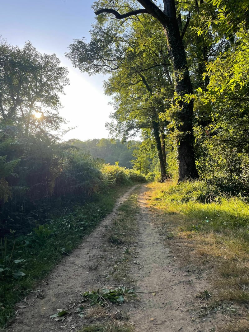 Balade au bord du Cérou - Rosières
