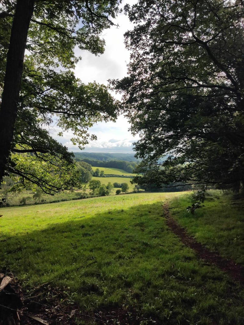 Grand tour du Domaine du Gasseau - Saint-Léonard-des-Bois