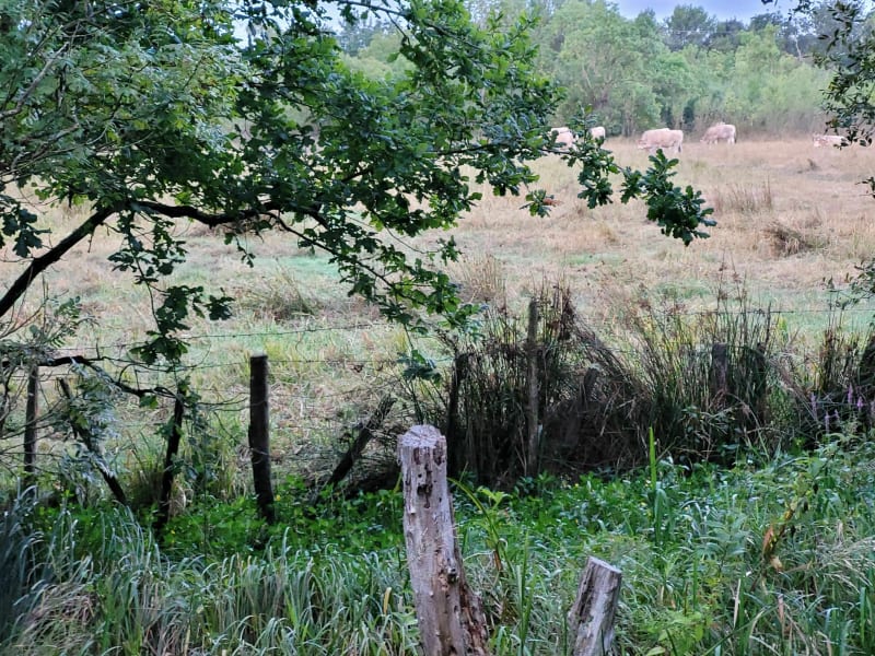Beau parcours VTT au départ des marais de Saint Herblain - Saint-Herblain