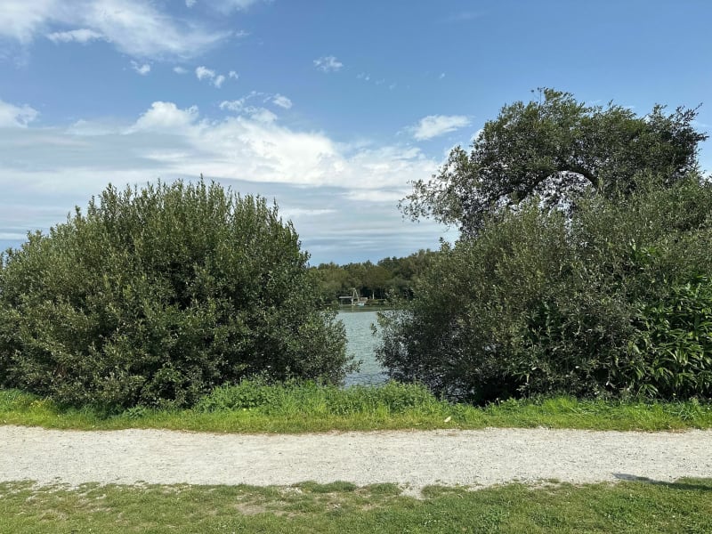 Autour des lacs à Saint Renan - Saint-Renan