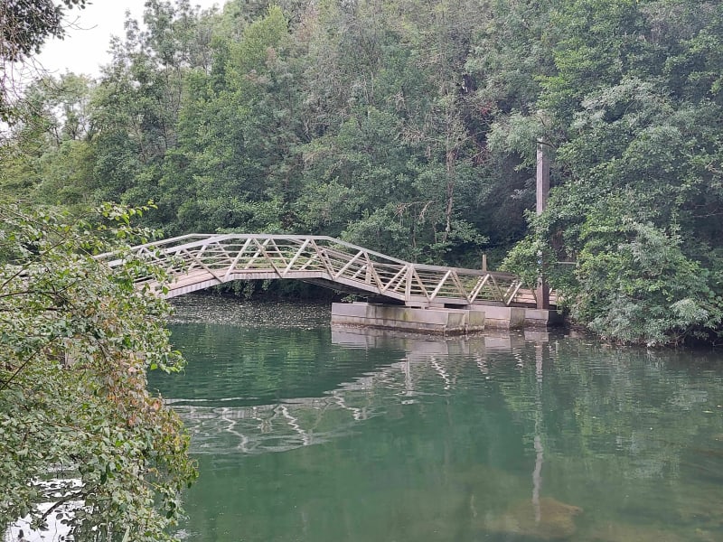 Petite promenade nature le long du Clain - Saint-Benoît